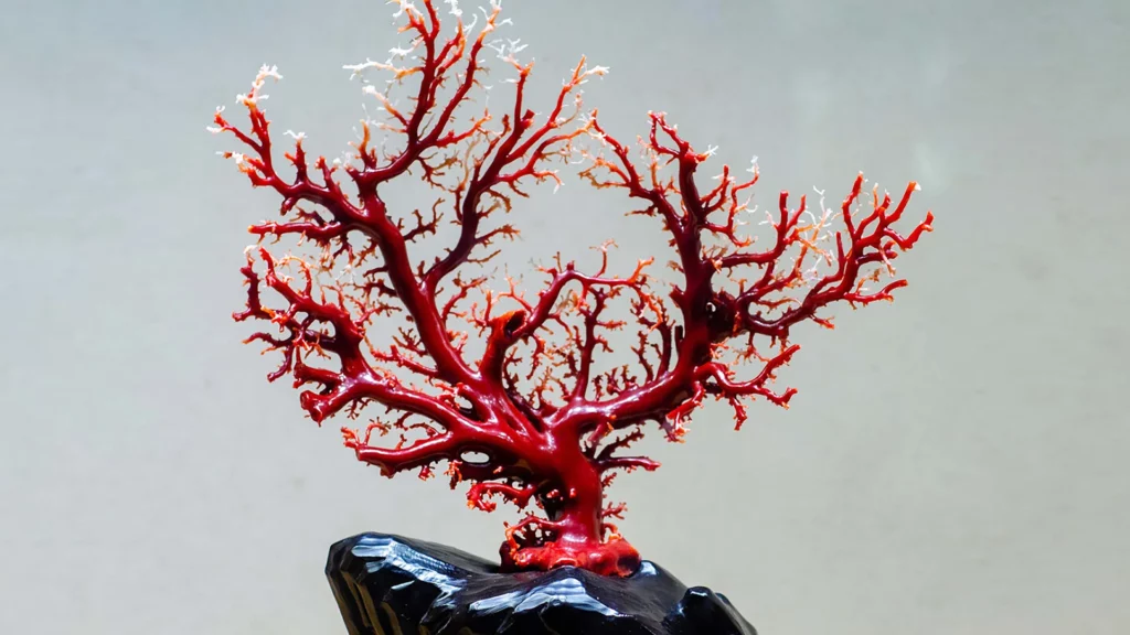 Red coral ornaments on a black pedestal