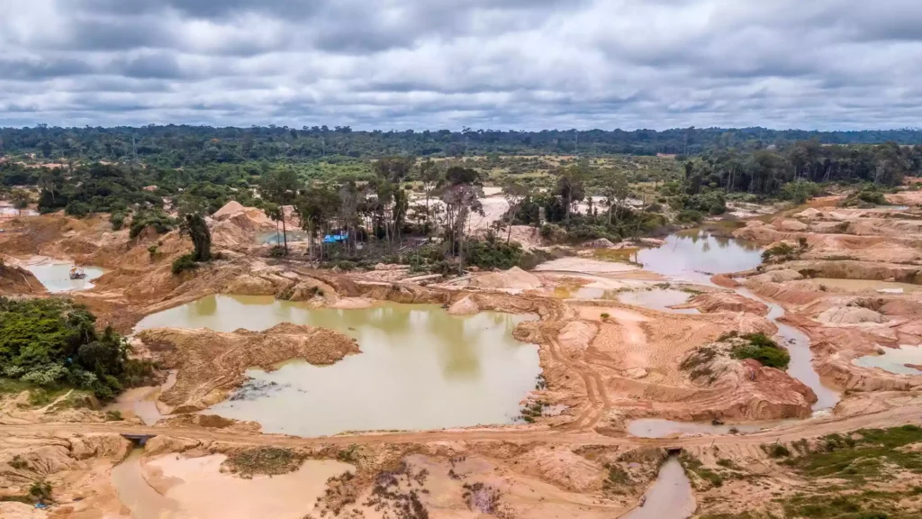 開採砂金礦造成的河流沿岸地貌的改變
