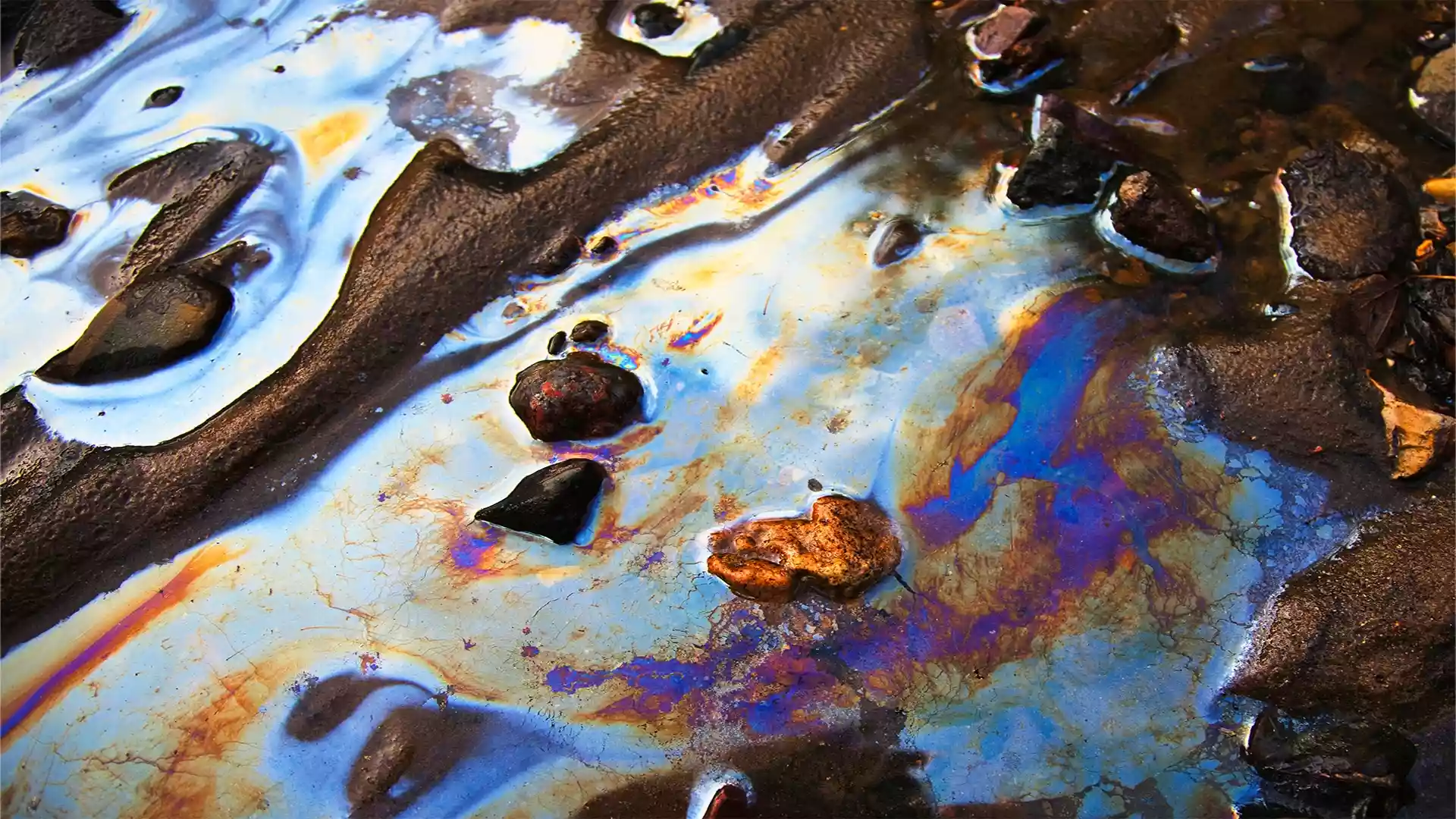 Shedding Light on the Dark Side of Gold - Grandmaster JinBodhi