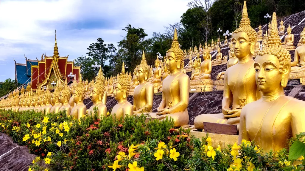 位於泰國巴色的普薩勞寺，寺中眾多金色佛像