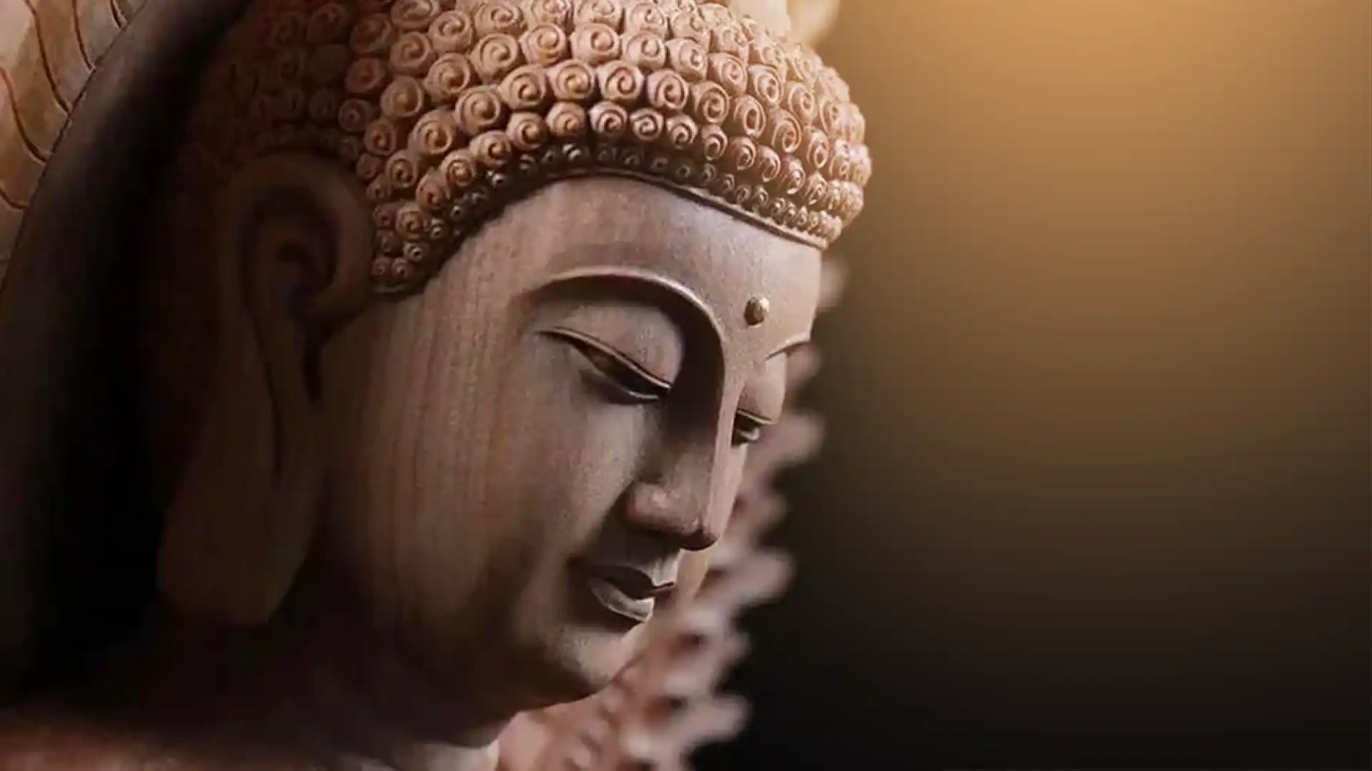 极品檀香木——老山檀- Grandmaster JinBodhi 金菩提宗师