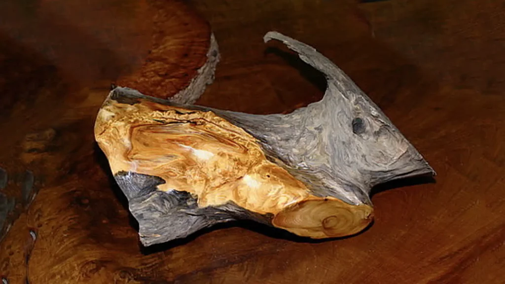 經過加工後的黃檜根料呈現獨特的紋路與光澤