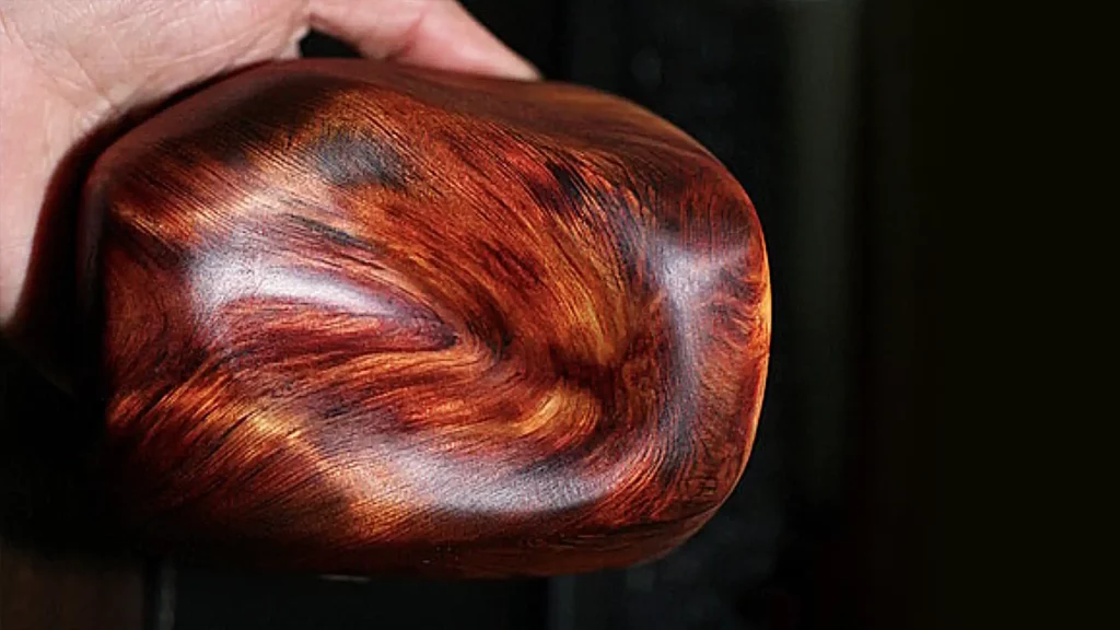 經過加工處理後的黃檜根呈現獨特的紋理光澤