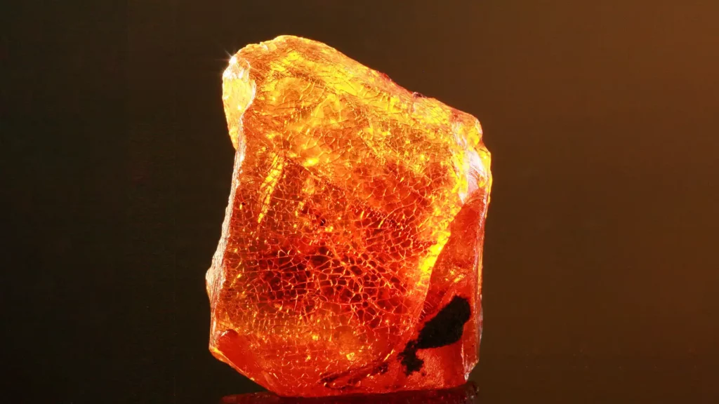自波羅的海挖掘到的琥珀,表面有類似樹葉的網狀紋理