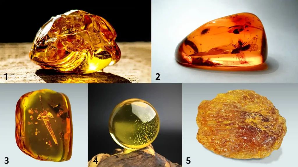 標號1放置在桌面的金珀,透出流動的光澤;標號2的蟲珀中有凝固的昆蟲;標號3的花珀中有凝固的花蕊;標號4的圓形水珀中有封存的細小水珠;標號5的蠟珀,表面有如岩層般的紋理