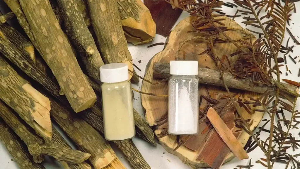 萃取出的紫杉醇