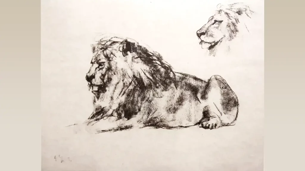 藝術家吳作人的素描作品，坐臥的獅子