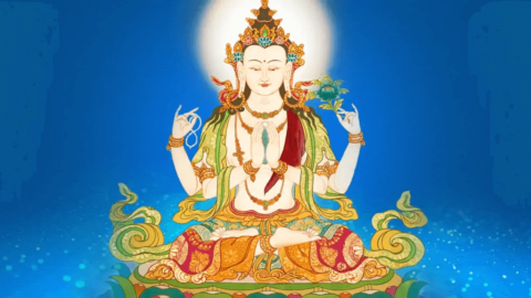 認識佛菩薩- Grandmaster JinBodhi 金菩提宗師