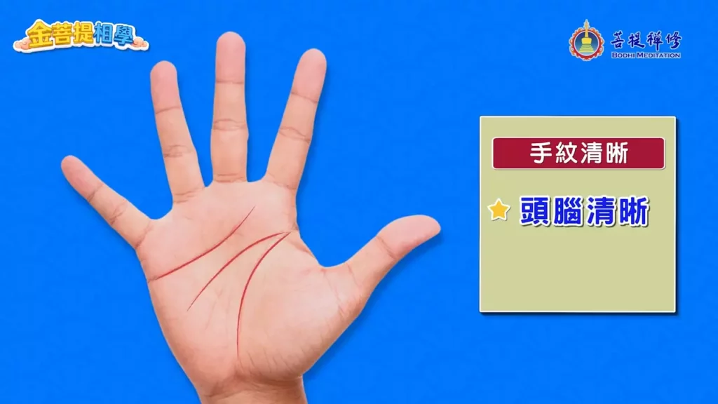 富貴命手相外觀特色：掌紋清晰，思考明晰