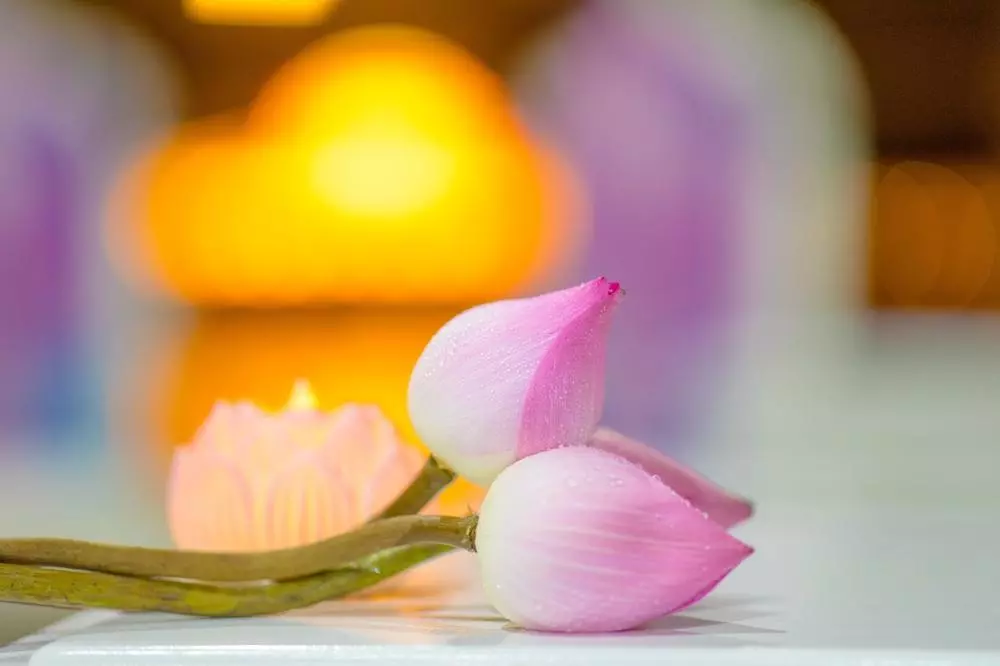 供花福報與供花的意義