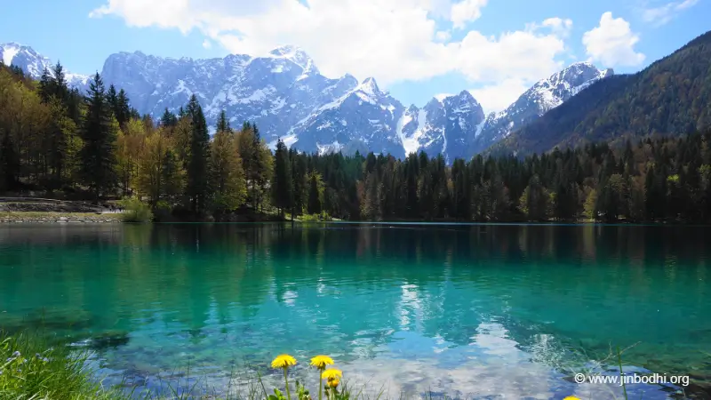 A vast lake surrounded by tall trees