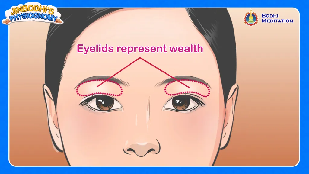 The woman with good fortune has plump eyelids.
