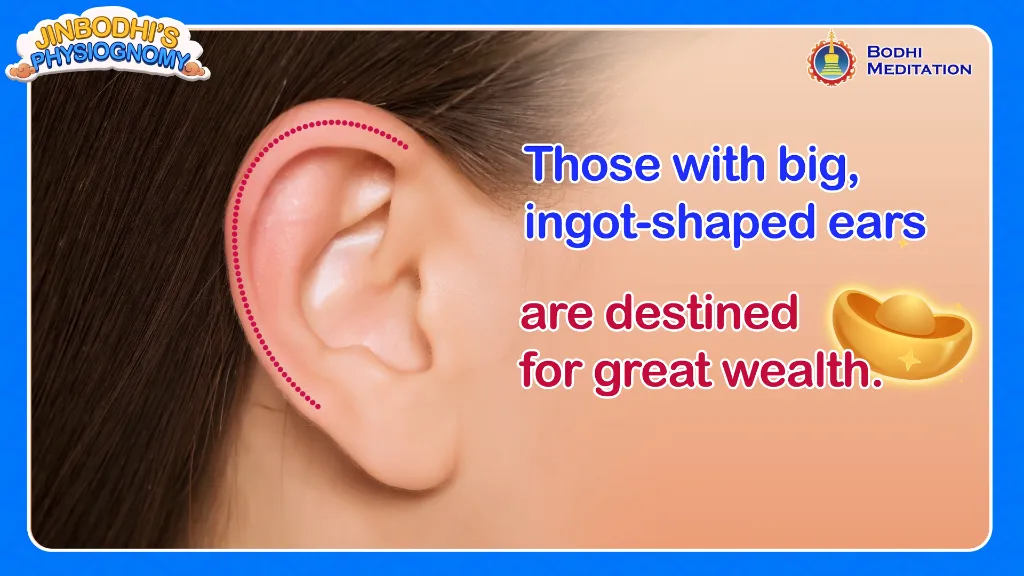 Large and thick earlobes