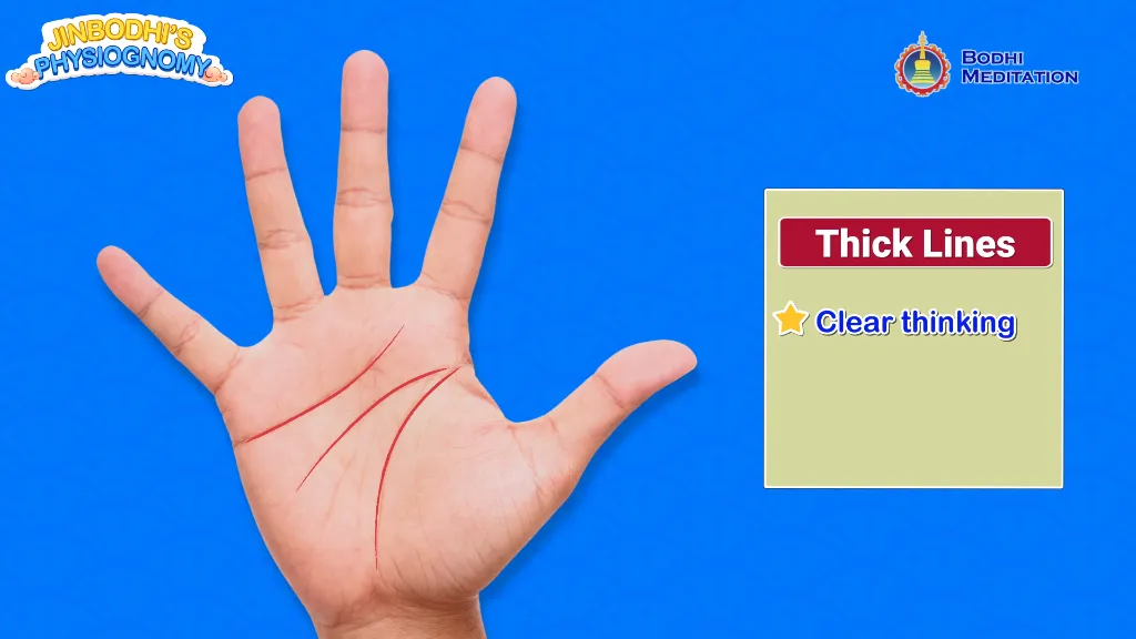 Wealth-Attracting Palm Appearance:Clear Palm Lines Indicating Clear Thinking