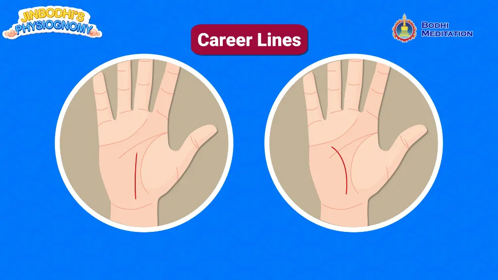 Wealth-Attracting Palm Appearance:The Career Line