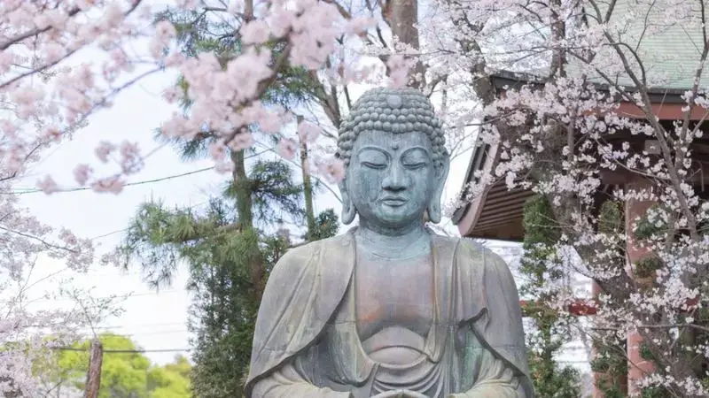 如何跟神明沟通？