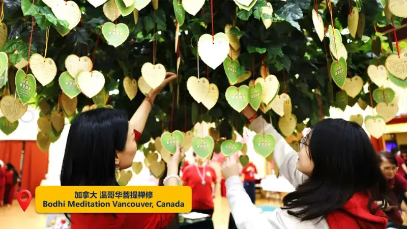 来宾在许愿树上挂上心愿卡,祈求健康、平安与圆满。