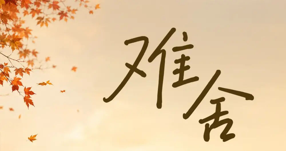 02_nanshe_mobilelyrics_up